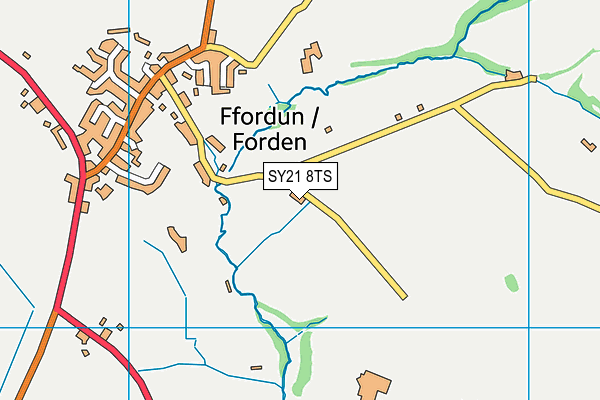 SY21 8TS map - OS VectorMap District (Ordnance Survey)