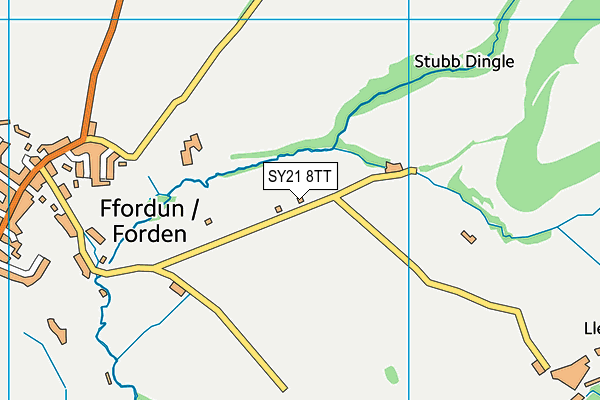 SY21 8TT map - OS VectorMap District (Ordnance Survey)