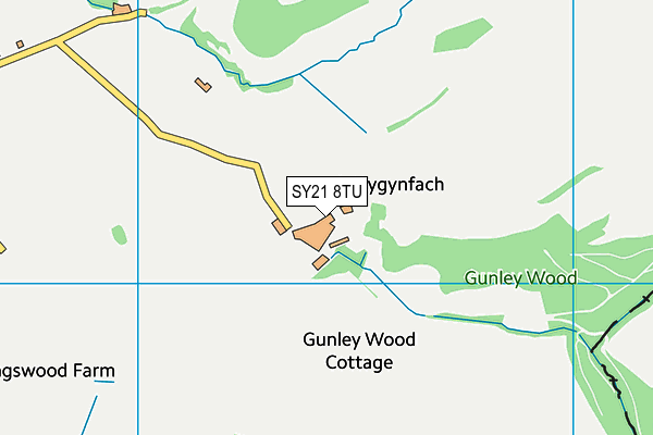 SY21 8TU map - OS VectorMap District (Ordnance Survey)