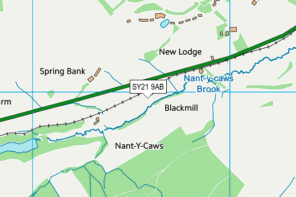 SY21 9AB map - OS VectorMap District (Ordnance Survey)