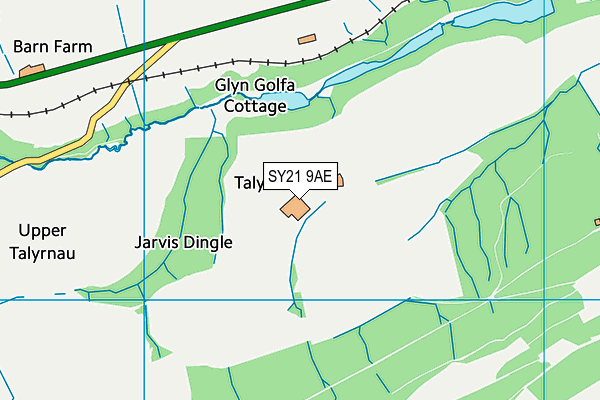 SY21 9AE map - OS VectorMap District (Ordnance Survey)