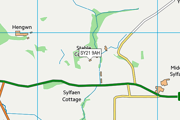 SY21 9AH map - OS VectorMap District (Ordnance Survey)