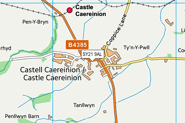 SY21 9AL map - OS VectorMap District (Ordnance Survey)