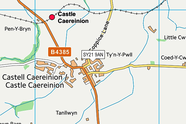 SY21 9AN map - OS VectorMap District (Ordnance Survey)