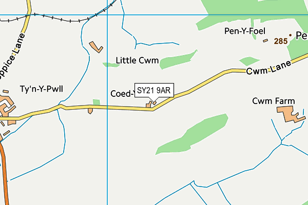 SY21 9AR map - OS VectorMap District (Ordnance Survey)