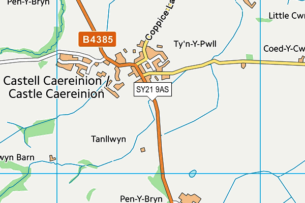 SY21 9AS map - OS VectorMap District (Ordnance Survey)