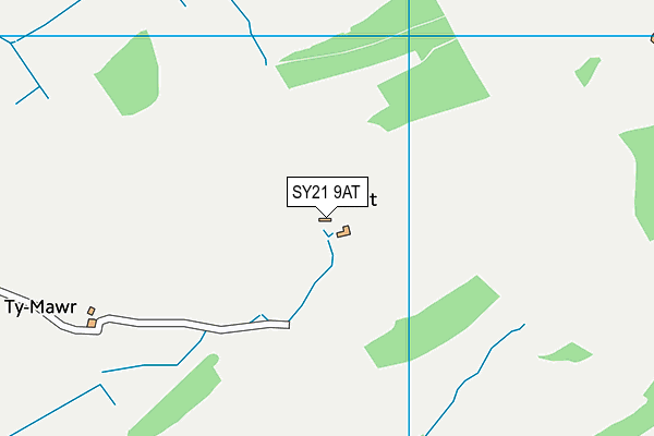 SY21 9AT map - OS VectorMap District (Ordnance Survey)