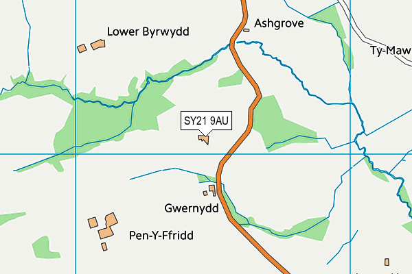 SY21 9AU map - OS VectorMap District (Ordnance Survey)