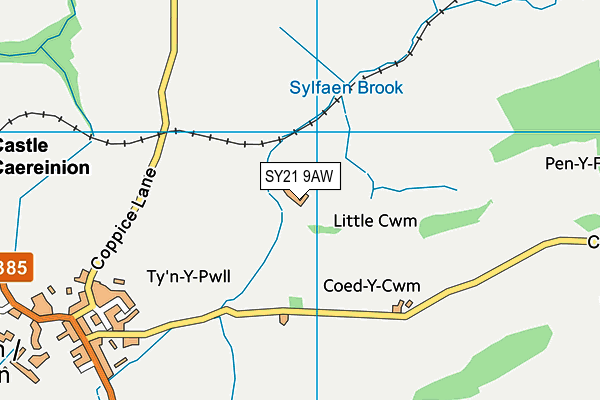 SY21 9AW map - OS VectorMap District (Ordnance Survey)