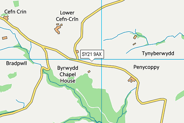 SY21 9AX map - OS VectorMap District (Ordnance Survey)