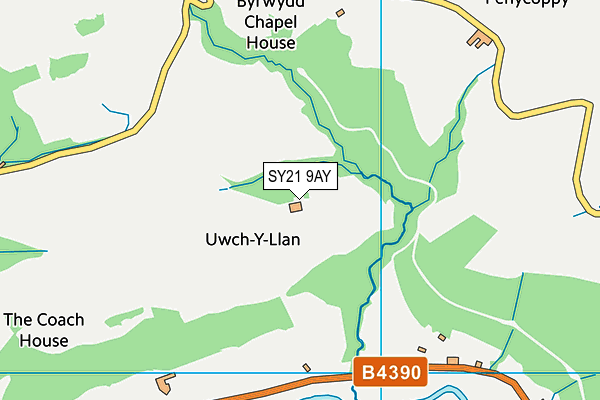 SY21 9AY map - OS VectorMap District (Ordnance Survey)