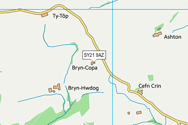 SY21 9AZ map - OS VectorMap District (Ordnance Survey)