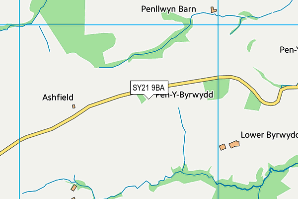 SY21 9BA map - OS VectorMap District (Ordnance Survey)