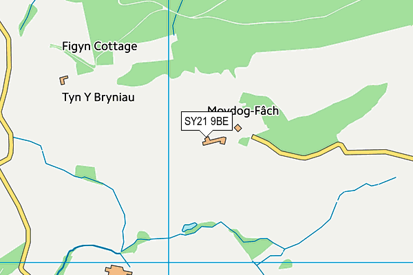 SY21 9BE map - OS VectorMap District (Ordnance Survey)