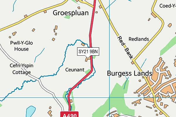 SY21 9BN map - OS VectorMap District (Ordnance Survey)