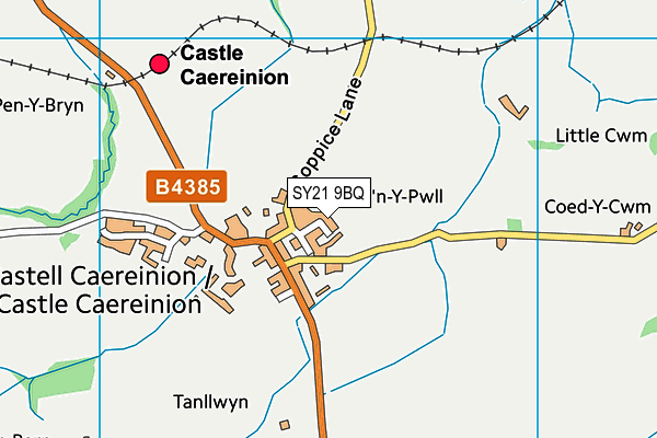 SY21 9BQ map - OS VectorMap District (Ordnance Survey)