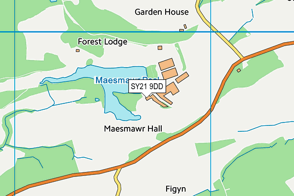 SY21 9DD map - OS VectorMap District (Ordnance Survey)
