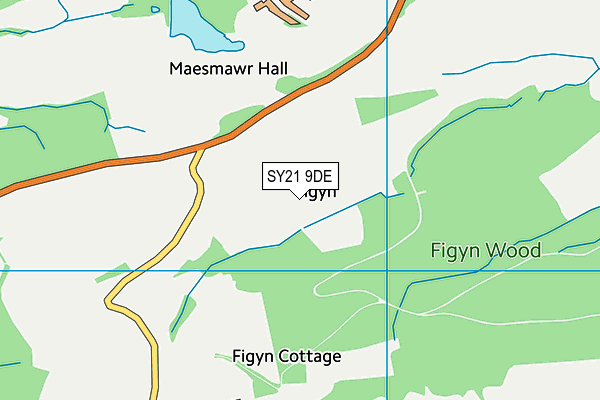 SY21 9DE map - OS VectorMap District (Ordnance Survey)