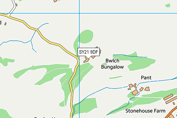 SY21 9DF map - OS VectorMap District (Ordnance Survey)