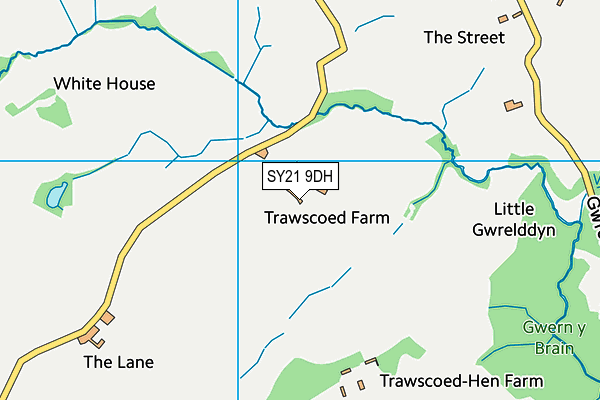 SY21 9DH map - OS VectorMap District (Ordnance Survey)