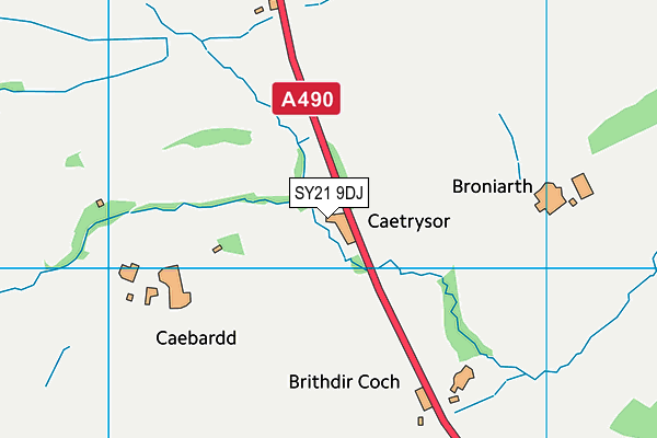 SY21 9DJ map - OS VectorMap District (Ordnance Survey)