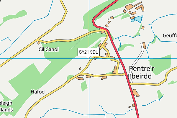 SY21 9DL map - OS VectorMap District (Ordnance Survey)