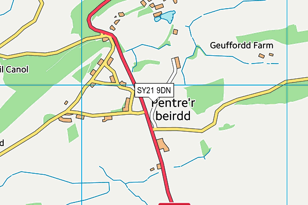 SY21 9DN map - OS VectorMap District (Ordnance Survey)