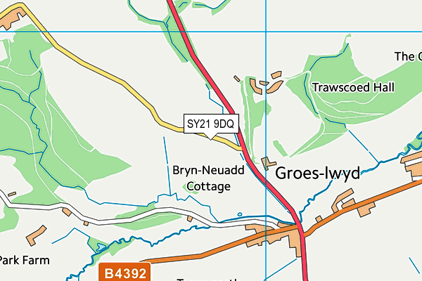 SY21 9DQ map - OS VectorMap District (Ordnance Survey)