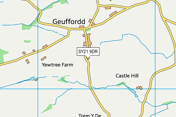 SY21 9DR map - OS VectorMap District (Ordnance Survey)