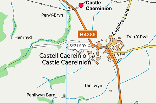 SY21 9DY map - OS VectorMap District (Ordnance Survey)