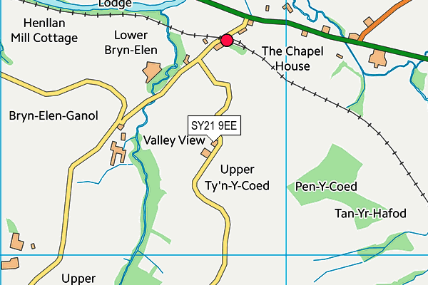 SY21 9EE map - OS VectorMap District (Ordnance Survey)