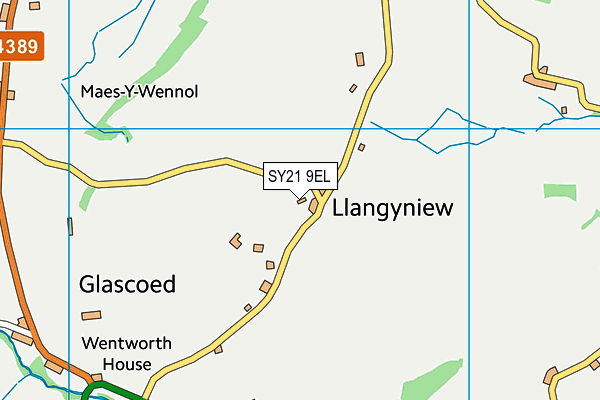 SY21 9EL map - OS VectorMap District (Ordnance Survey)