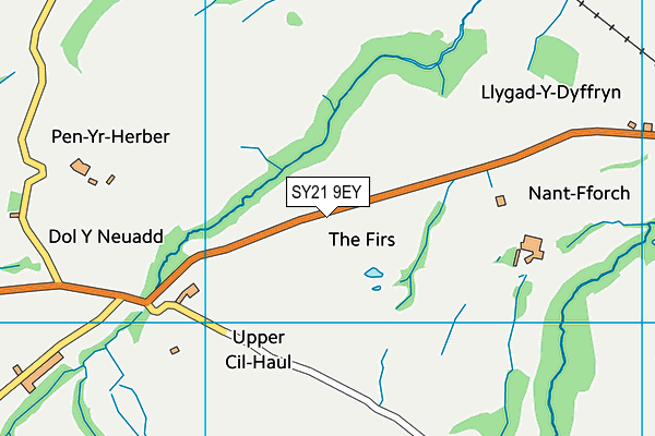 SY21 9EY map - OS VectorMap District (Ordnance Survey)