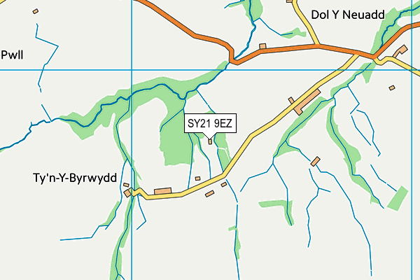 SY21 9EZ map - OS VectorMap District (Ordnance Survey)