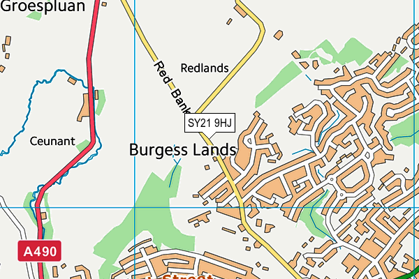 SY21 9HJ map - OS VectorMap District (Ordnance Survey)