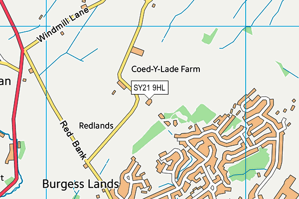 SY21 9HL map - OS VectorMap District (Ordnance Survey)