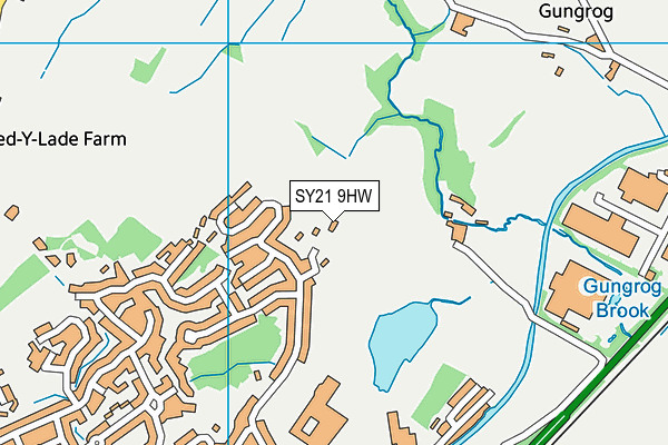 SY21 9HW map - OS VectorMap District (Ordnance Survey)