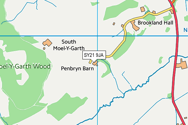SY21 9JA map - OS VectorMap District (Ordnance Survey)