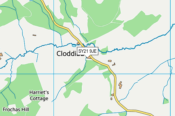 SY21 9JE map - OS VectorMap District (Ordnance Survey)