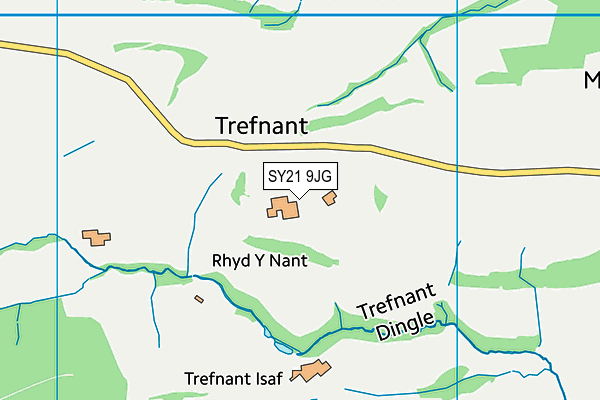 SY21 9JG map - OS VectorMap District (Ordnance Survey)