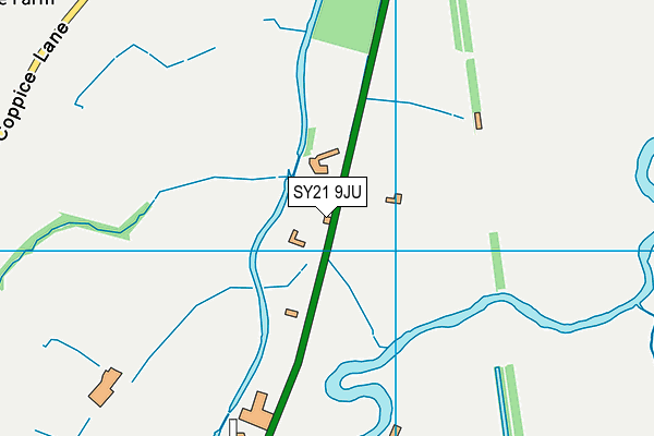 SY21 9JU map - OS VectorMap District (Ordnance Survey)