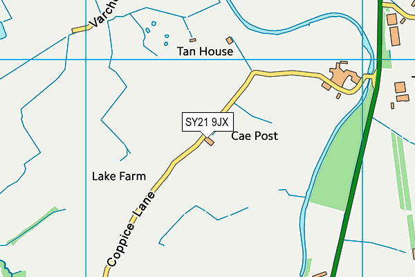 SY21 9JX map - OS VectorMap District (Ordnance Survey)