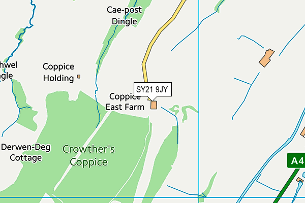 SY21 9JY map - OS VectorMap District (Ordnance Survey)