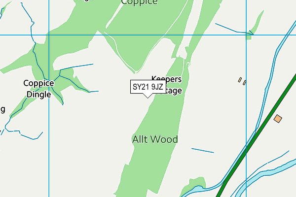 SY21 9JZ map - OS VectorMap District (Ordnance Survey)