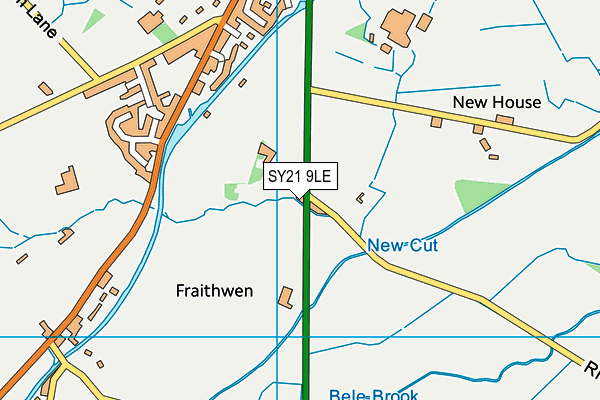 SY21 9LE map - OS VectorMap District (Ordnance Survey)