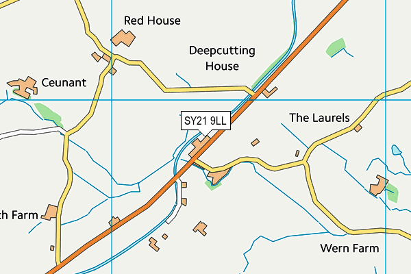 SY21 9LL map - OS VectorMap District (Ordnance Survey)