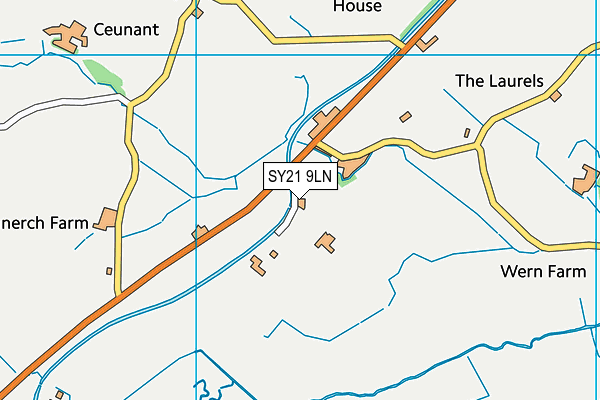 SY21 9LN map - OS VectorMap District (Ordnance Survey)