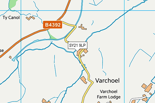 SY21 9LP map - OS VectorMap District (Ordnance Survey)