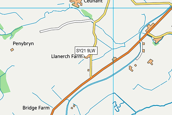 SY21 9LW map - OS VectorMap District (Ordnance Survey)