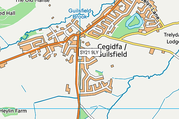 SY21 9LY map - OS VectorMap District (Ordnance Survey)